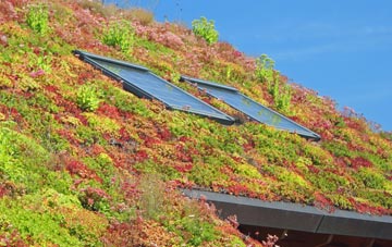 Gilmanscleuch living roof systems